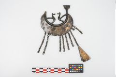 Foto von Bronzehalbmondgehängefibel (NHMW-PRAE-025552)
